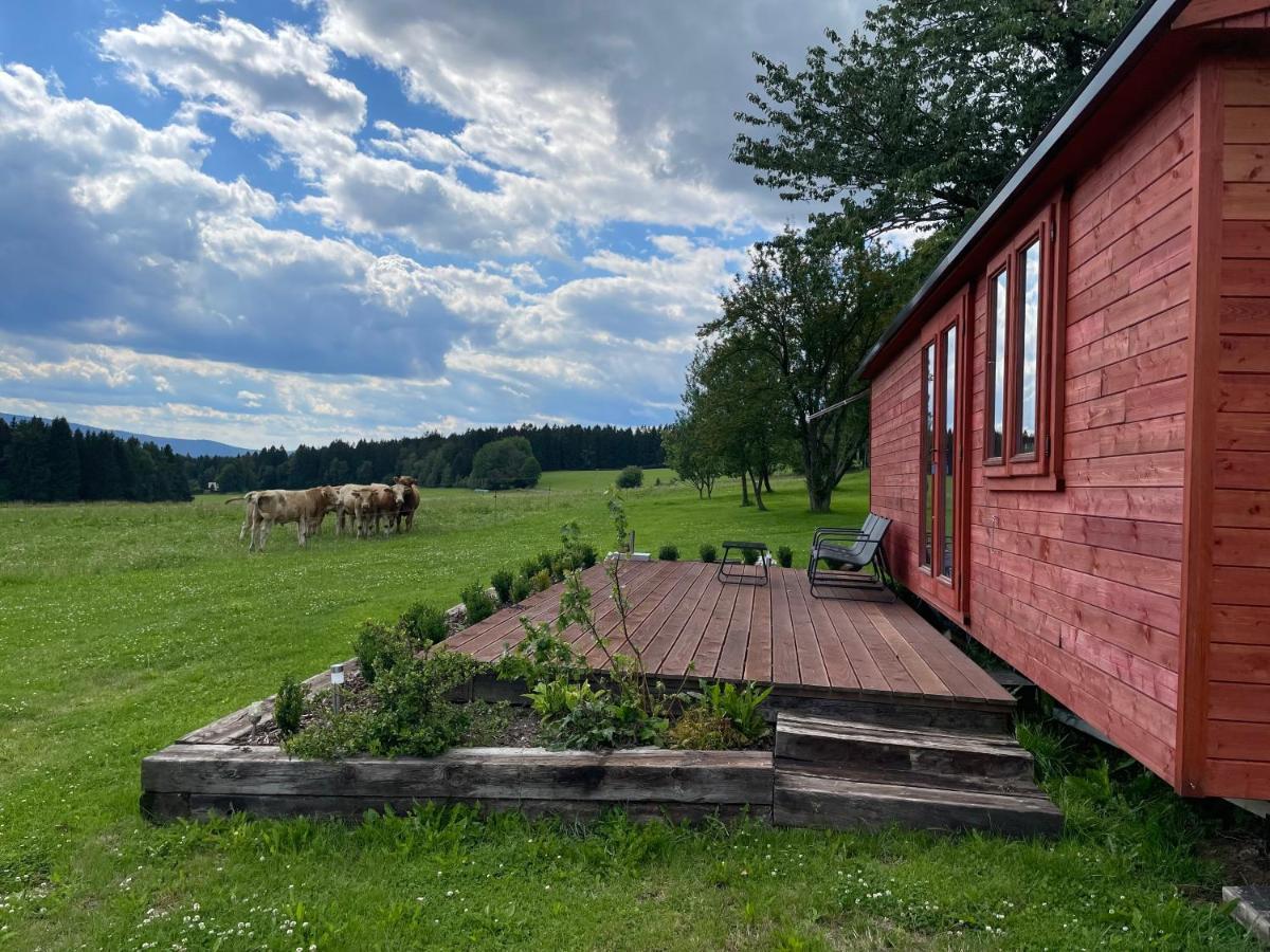 Farma Nahlov Apartment Frymburk Exterior photo