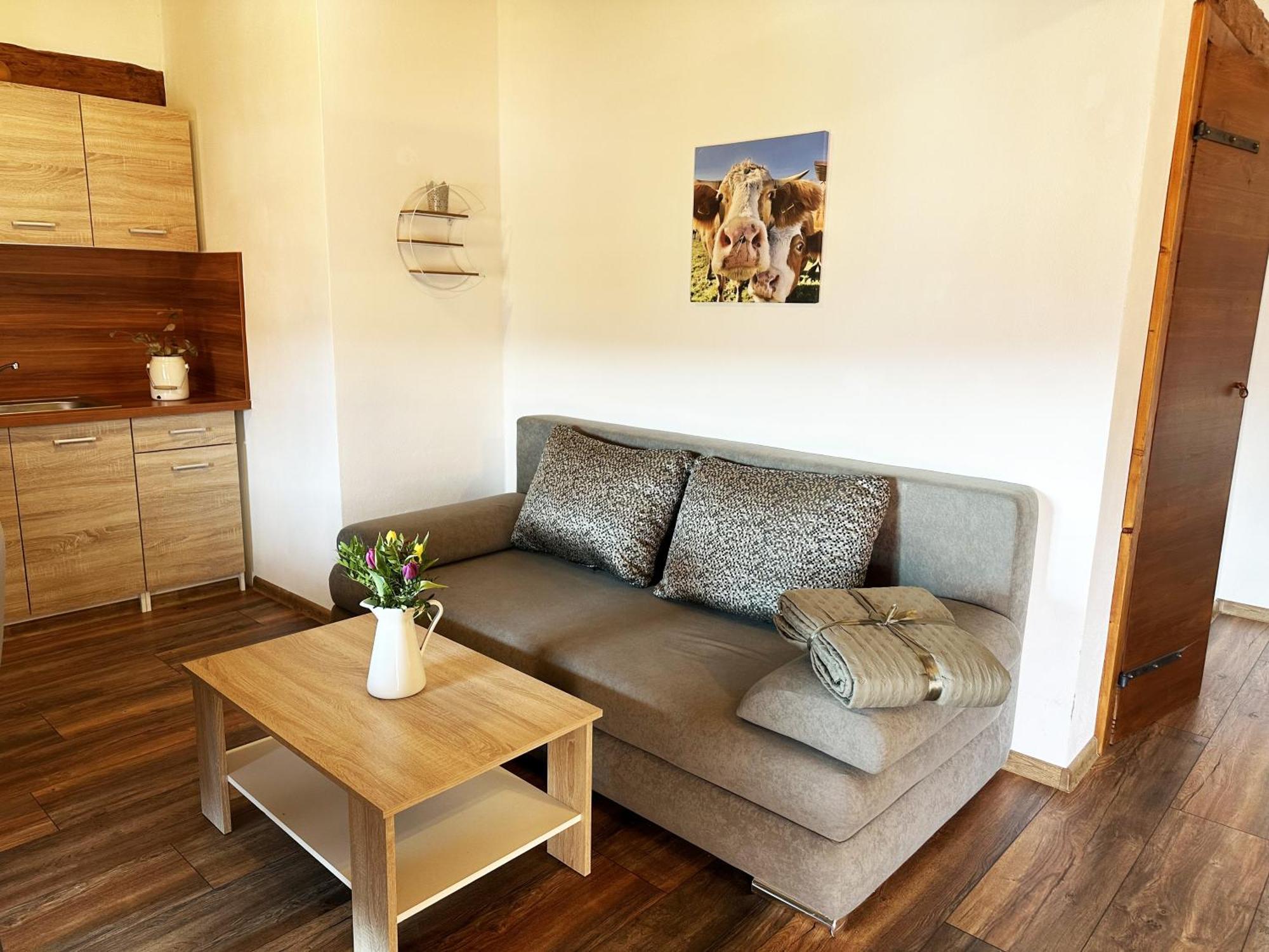 Farma Nahlov Apartment Frymburk Exterior photo